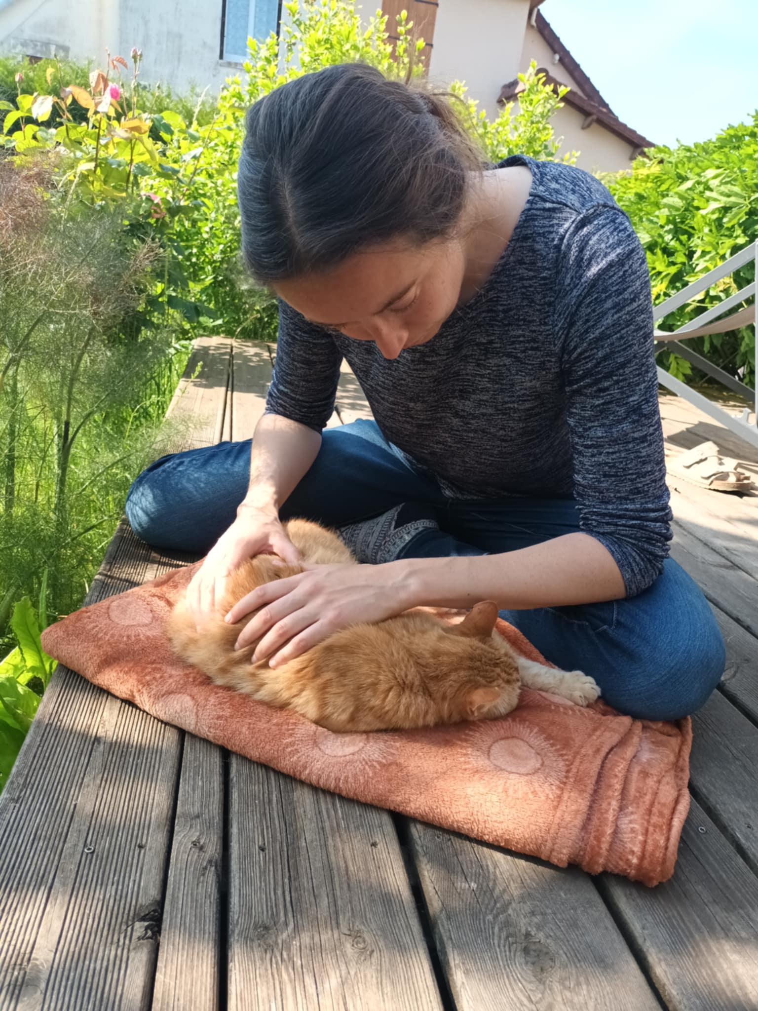 Chien ou chat recevant un soin ostéopathique